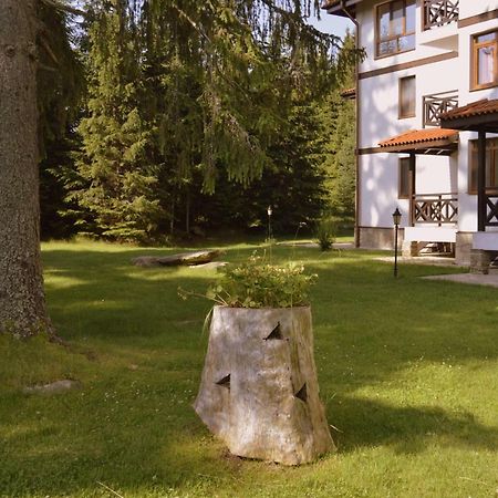 Northstar Ski Apartment In Mountain Lake Hotel Pamporovo Kültér fotó