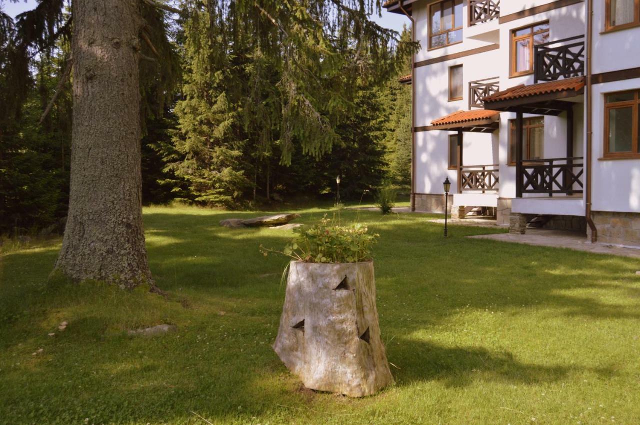 Northstar Ski Apartment In Mountain Lake Hotel Pamporovo Kültér fotó