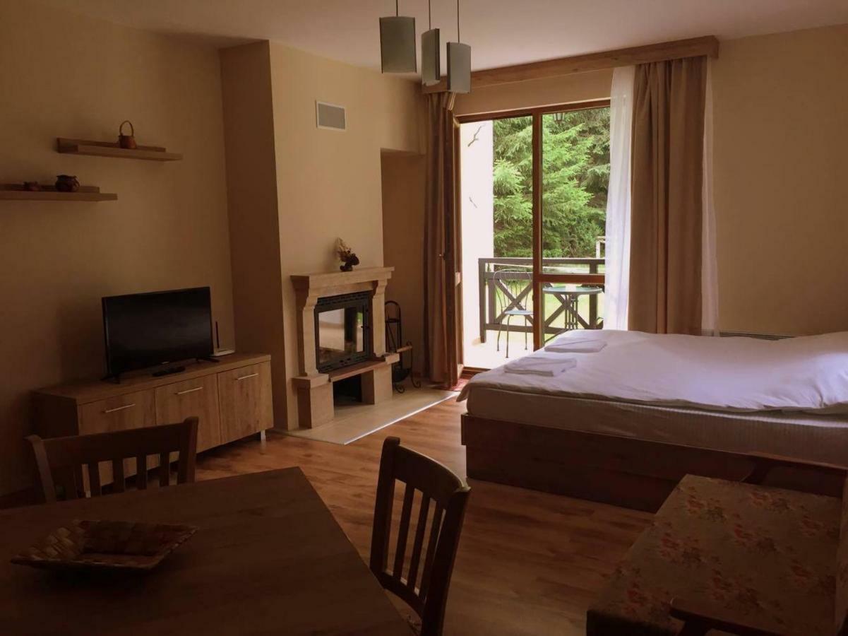 Northstar Ski Apartment In Mountain Lake Hotel Pamporovo Kültér fotó