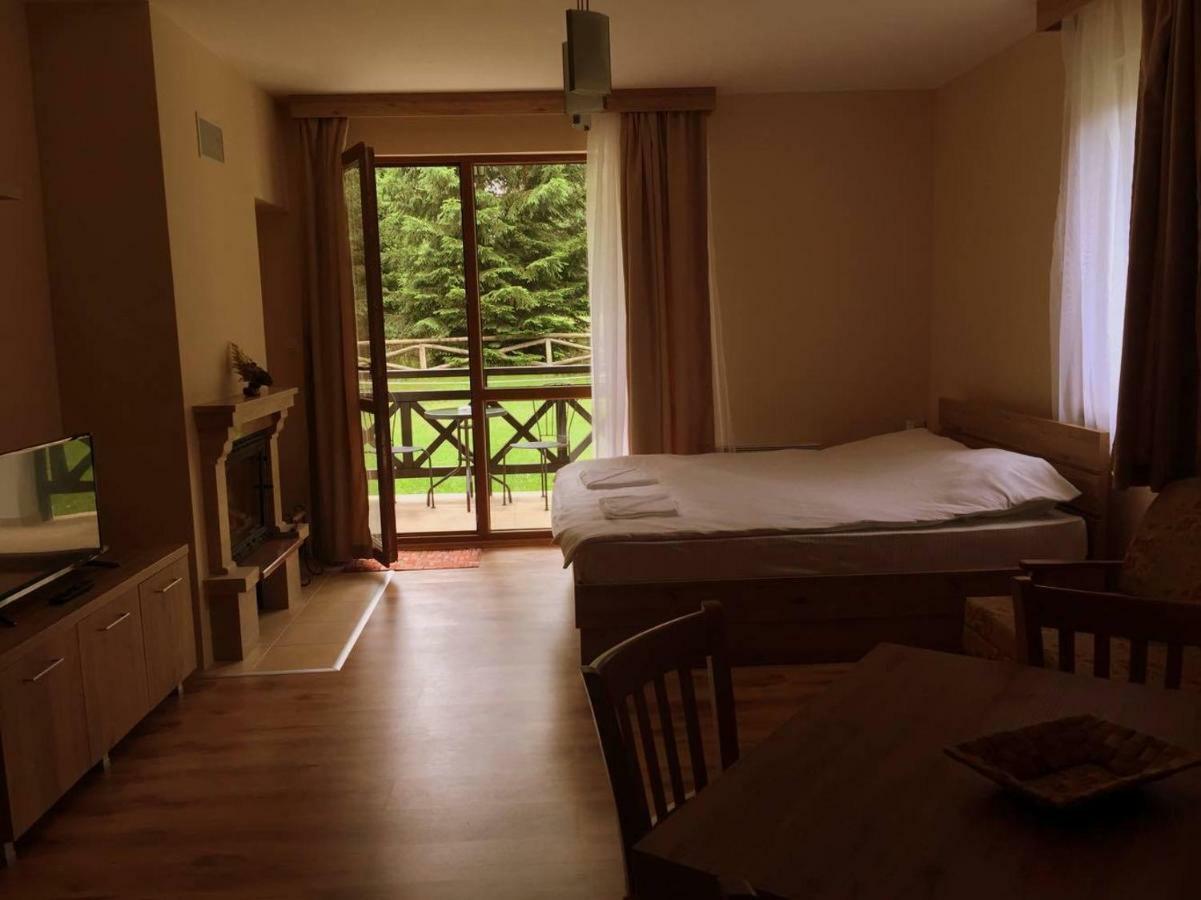 Northstar Ski Apartment In Mountain Lake Hotel Pamporovo Kültér fotó